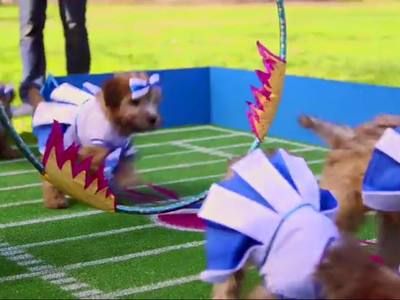 We created these puppy costumes amoung a number of animal costumes for Pepsi's "Cutest Halftime Show Ever." 	